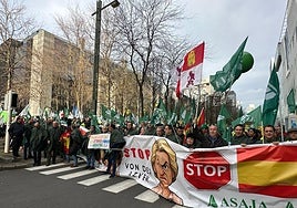 Represantación de Castilla y León en la manifestación de Bruselas.