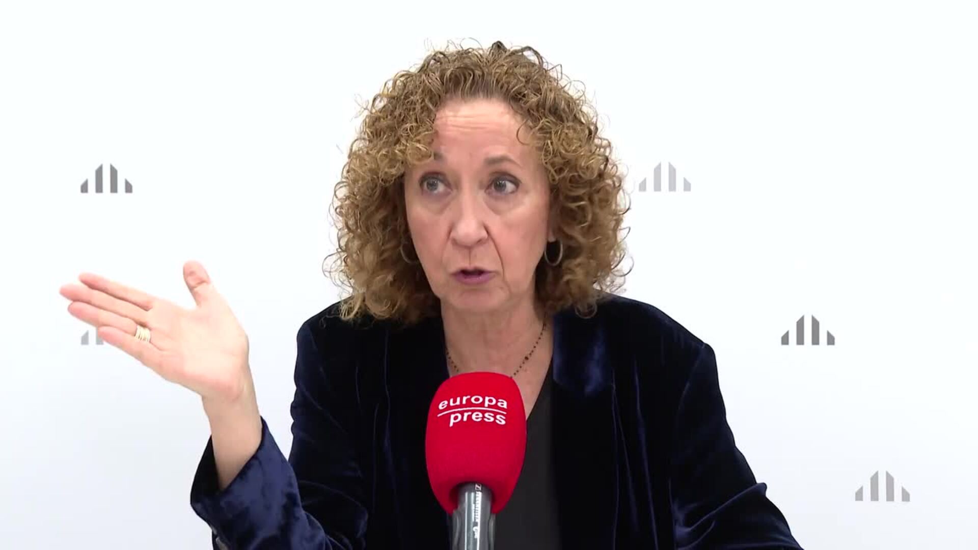 Capella insta al Govern a "no ir a remolque de las decisiones del BOE" con los aranceles
