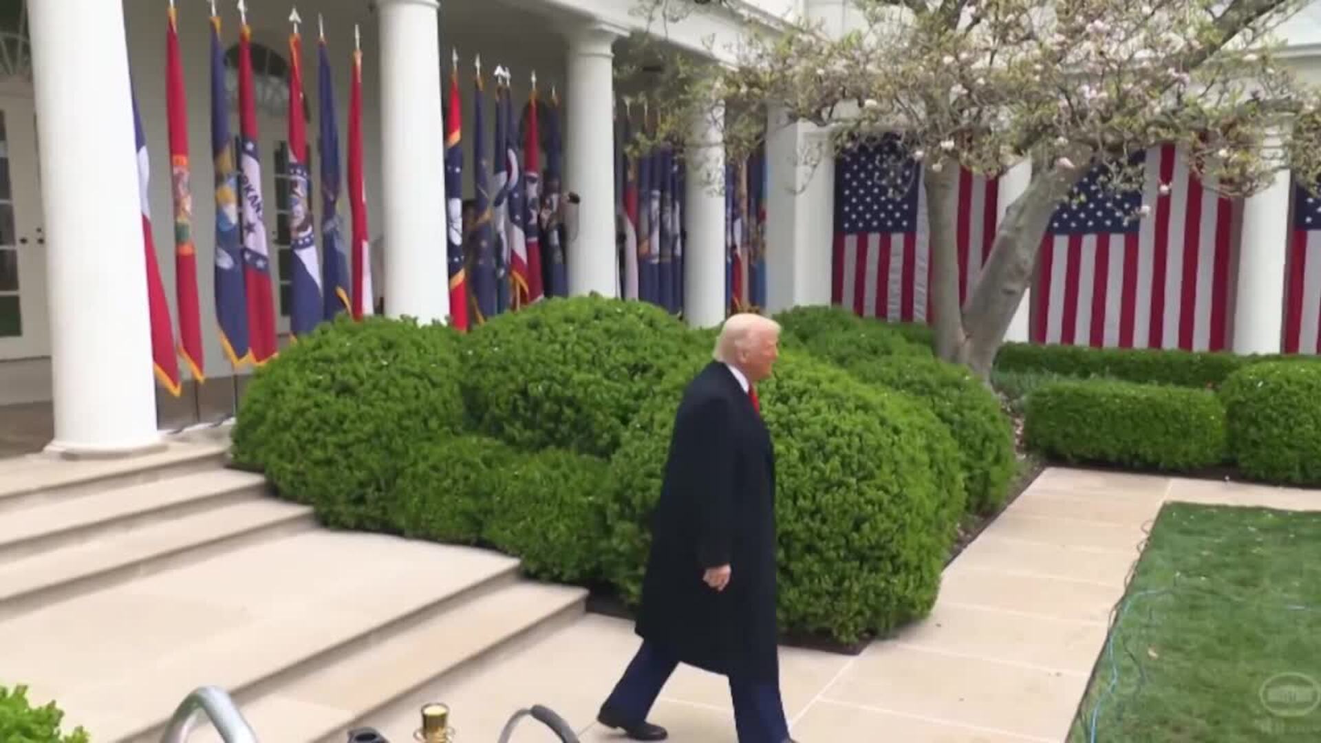Trump anuncia un alto el fuego "total e inmediato" entre India y Pakistán
