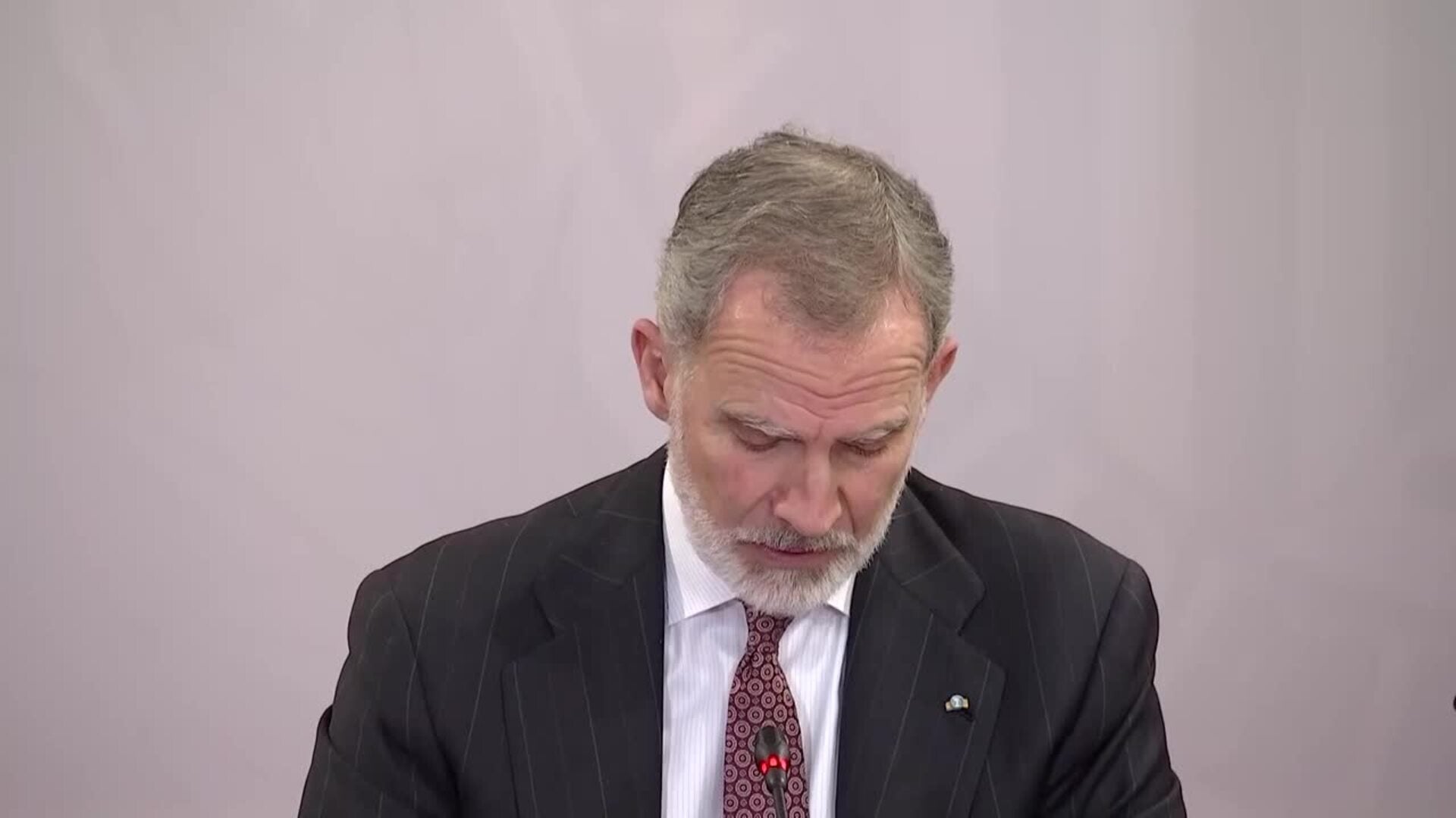 Felipe VI destaca que la permanencia de las instituciones es el "mayor aval de su prestigio"