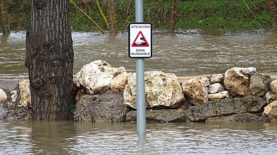 El desbordamiento del Duero obliga a confinar y desalojar viviendas en San Esteban de Gormaz