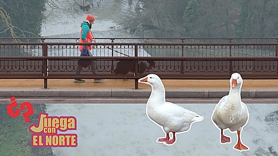 Aprovechando que el Pisuerga... a ver si conoces estos afluentes del río Duero