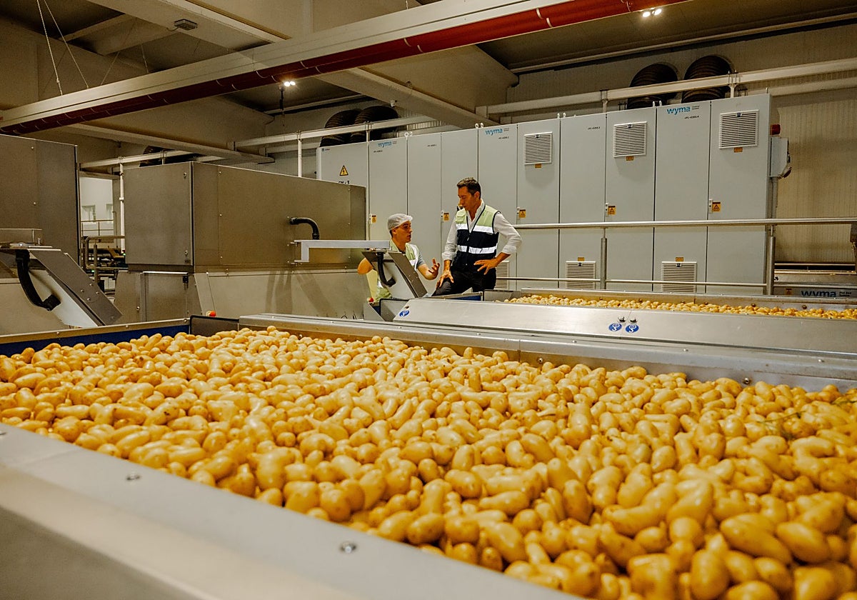 Patatas Meléndez 2028 yılına kadar yeni Stratejik Planını onayladı