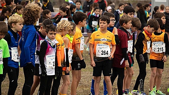 Zarapicos acoge el Campeonato de Castilla y León de cross escolar y universitario