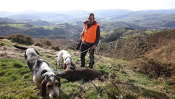 El TSJCyL anula el Plan de Gestión del Jabalí de Castilla y León