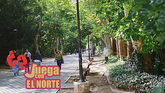 Primavera en Valladolid: árboles centenarios, flores y pulmones verdes
