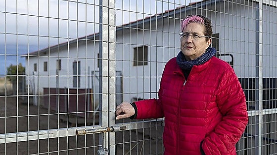650 granjas avícolas siguen confinadas por el riesgo de gripe aviar, más de cuatro meses después