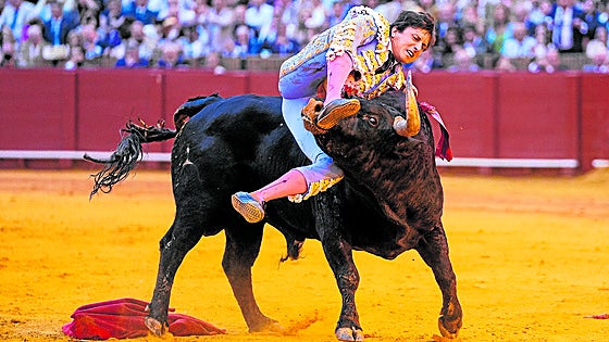 Roca Rey, baja del cartel de Valladolid a siete días de la corrida
