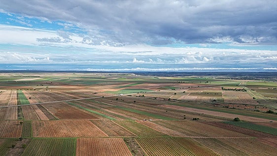La abogada general del TJUE avala excluir a Castilla y León de ayudas europeas agrarias por deficiencias en los controles