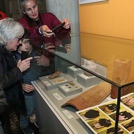 Exposición de nuevos objetos en 'La Vitrina del Donante' en el Museo de Palencia.