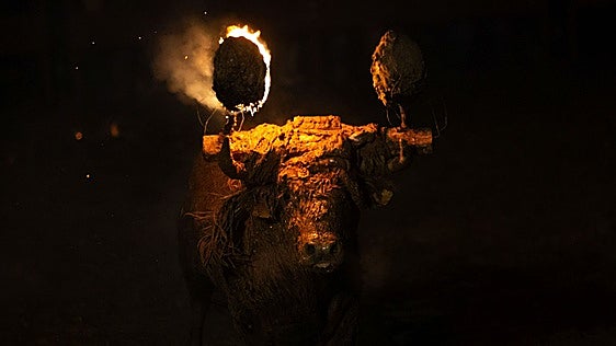 El Toro Jubilo de Medinaceli, declarado Bien de Interés Cultural de carácter inmaterial