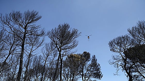 Banco Sabadell activa una línea de financiación con condiciones preferentes para los afectados por los incendios