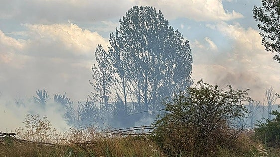 Baja a nivel 0 el incendio de Navatejera que amenazó a la población