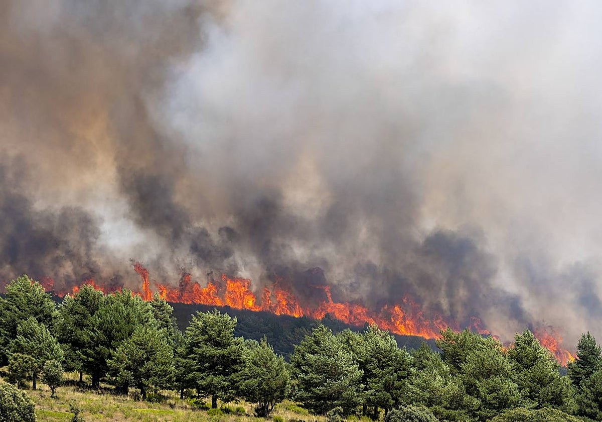 El Cecopi acuerda evacuar Barcones por el humo del incendio de La Mierla en Guadalajara