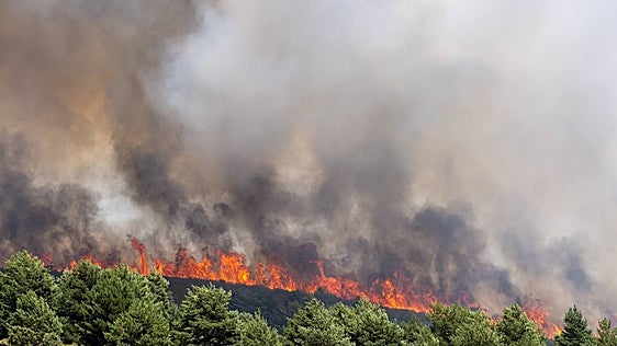 El Cecopi acuerda evacuar Barcones por el humo del incendio de La Mierla en Guadalajara