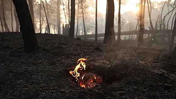 El incendio de Burgohondo mantiene estable su perímetro por segundo día consecutivo