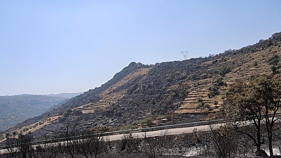 El operativo del incendio de Fermoselle, rebajado al nivel 1, centra sus esfuerzos en evitar reactivaciones