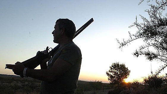 La consejería de Agricultura de Vox cambia las reglas para cazar 33.000 palomas torcaces en Salamanca