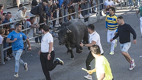 Las mejores fotos del encierro en las calles de Cuéllar