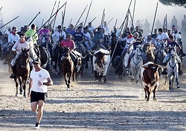 Los caballistas conducen a la manada durante el encierro.