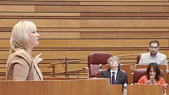 El parlamento autonómico se vuelve inhóspito para el PSOE de Castilla y León