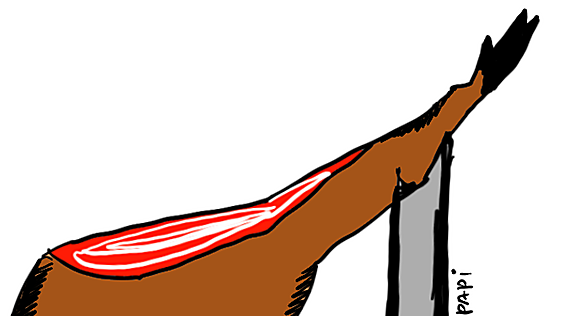 La viñeta de Muskupapi