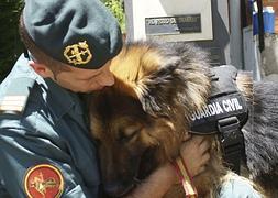 Adiós a un héroe de cuatro patas