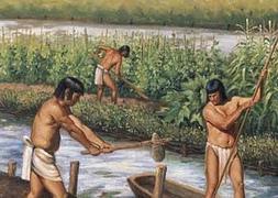 El dominio maya del agua