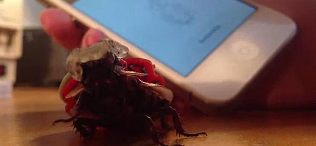 La cucharacha, manejada por el móvil. / Roboroach