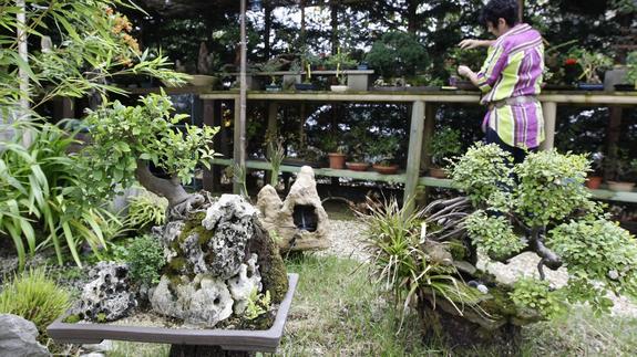 Una mujer realiza tareas de jardinería. 