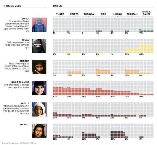 Cubiertas por el islam