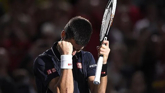 Novak Djokovic celebra su triunfo. 
