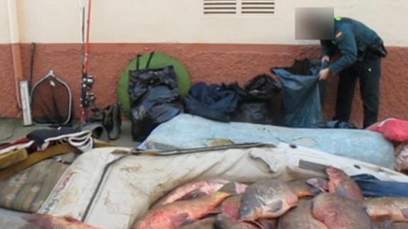 Parte de los pescados intervenidos.