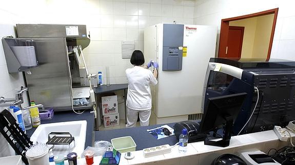 Un centro de investigación.