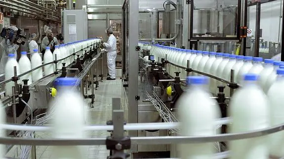 Línea de producción de una industria láctea.