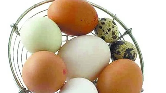 Mitos falsos y perniciosos sobre el huevo