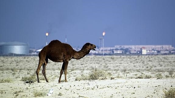 Zona desértica situada al sur de Irak y cercana al lugar del secuestro.