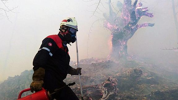 Los bomberos continúan luchando contra los incendios forestales en Asturias, Cantabria, Guipúzcoa y Navarra