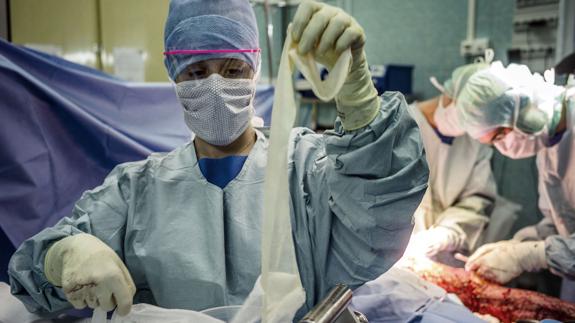Un cirujano se dispone a realizar un trasplante.
