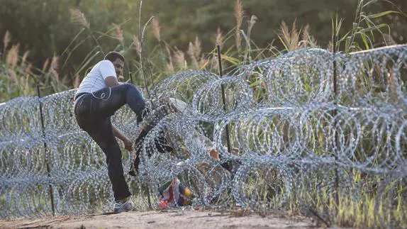 Un inmigrante intenta pasar la alambrada en la frontera entre Hungría y Serbia cerca de Roszke (Hungría). 