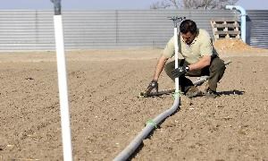 El agricultor de Medina Eliseo Veganzones coloca el sistema de riego en su finca de remolacha. / F. Jiménez