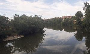 Tramo de la ribera del río Pisuerga en el que la CHD ejecutará las obras. / R. G.
