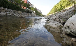 Pescadores denuncian que el río Esgueva llega sin caudal por posibles riegos ilegales