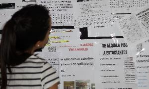 La Junta terminará de abonar en los próximos días ayudas de alquiler de 2010