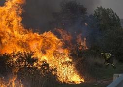 Incendio en Alcanizes (Zamora)./ J. L. Leal - Ical