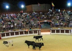 Los toros a su llegada a la plaza./ J. Hernando
