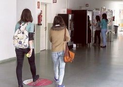 Los universitarios deberán matricularse cada curso de las asignaturas pendientes