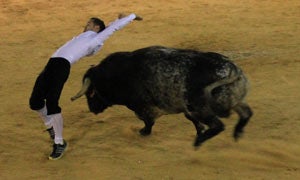 Dany Alonso se proclama vencedor del XV Concurso de Cortes Virgen del Arrabal