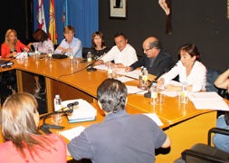 Pleno de Simancas, en el que el alcalde alertó de la proliferación de actos vandálicos y de tráfico de drogas/Javier Hernando