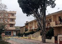 El último árbol de la finca de Gil de Biedma, acordonado por el Ayuntamiento. / F. de la Calle